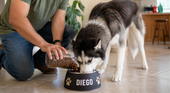feeding dog in a customized dog bowl