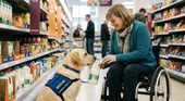 a service dog at work