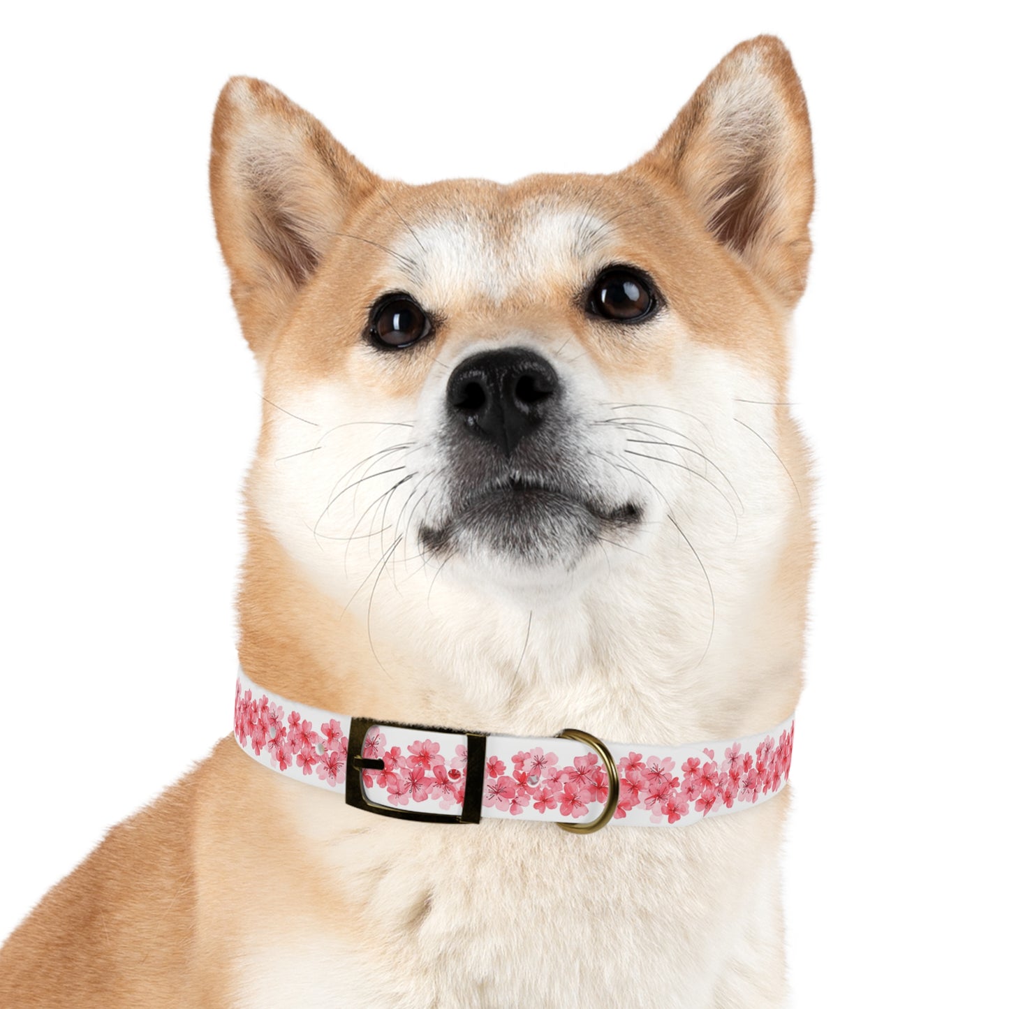 Dog Collar - Cherry Blossom