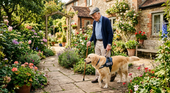 assistance dogs helping old people at home