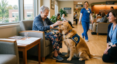 therapy dog working in a healthcare facility