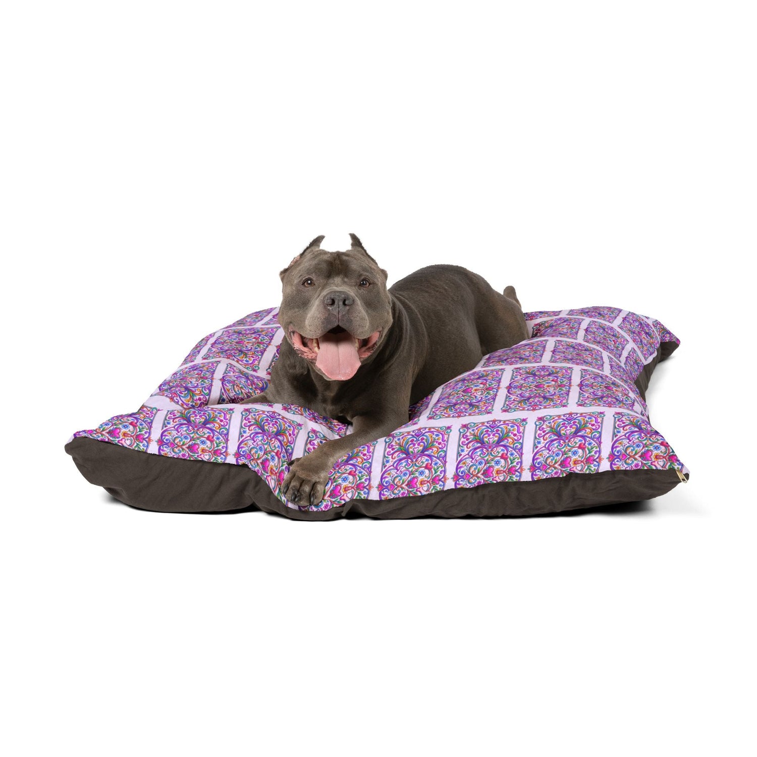 Dog Beds