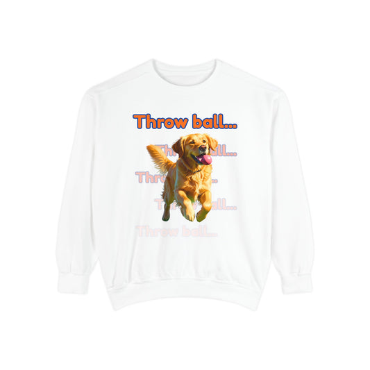 Sweatshirt - Throw Ball Again