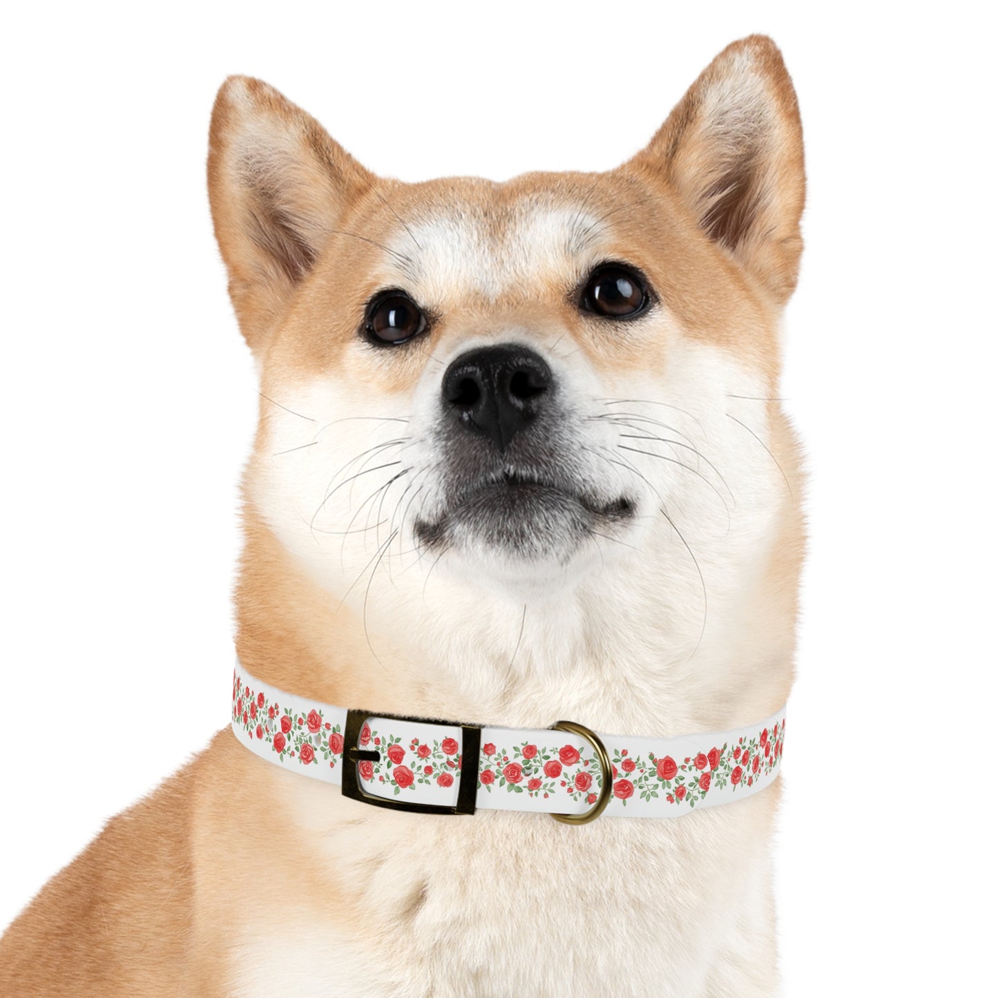 Dog Collar - Floral Rose