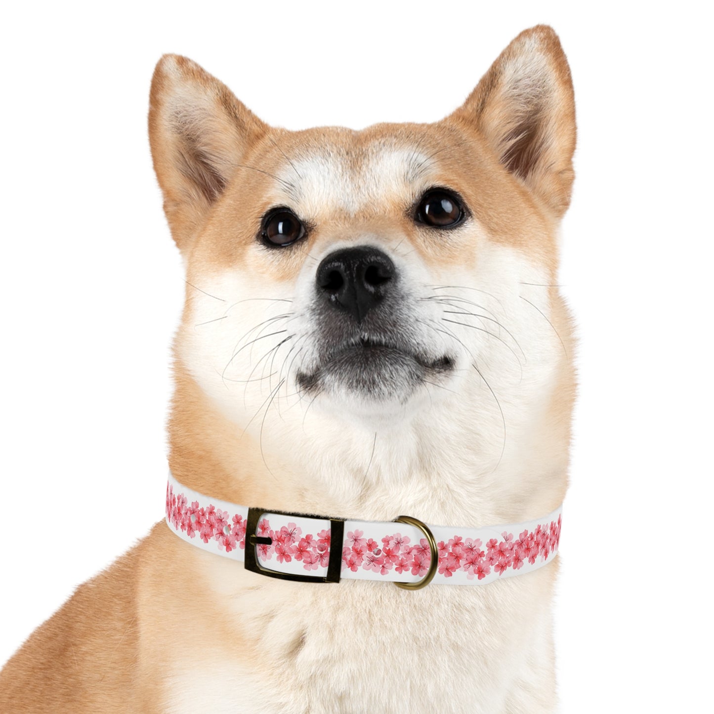 Dog Collar - Cherry Blossom