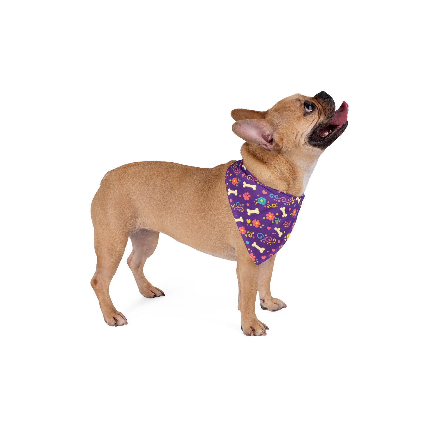 Dog Bandana - Grape Floral and Bones