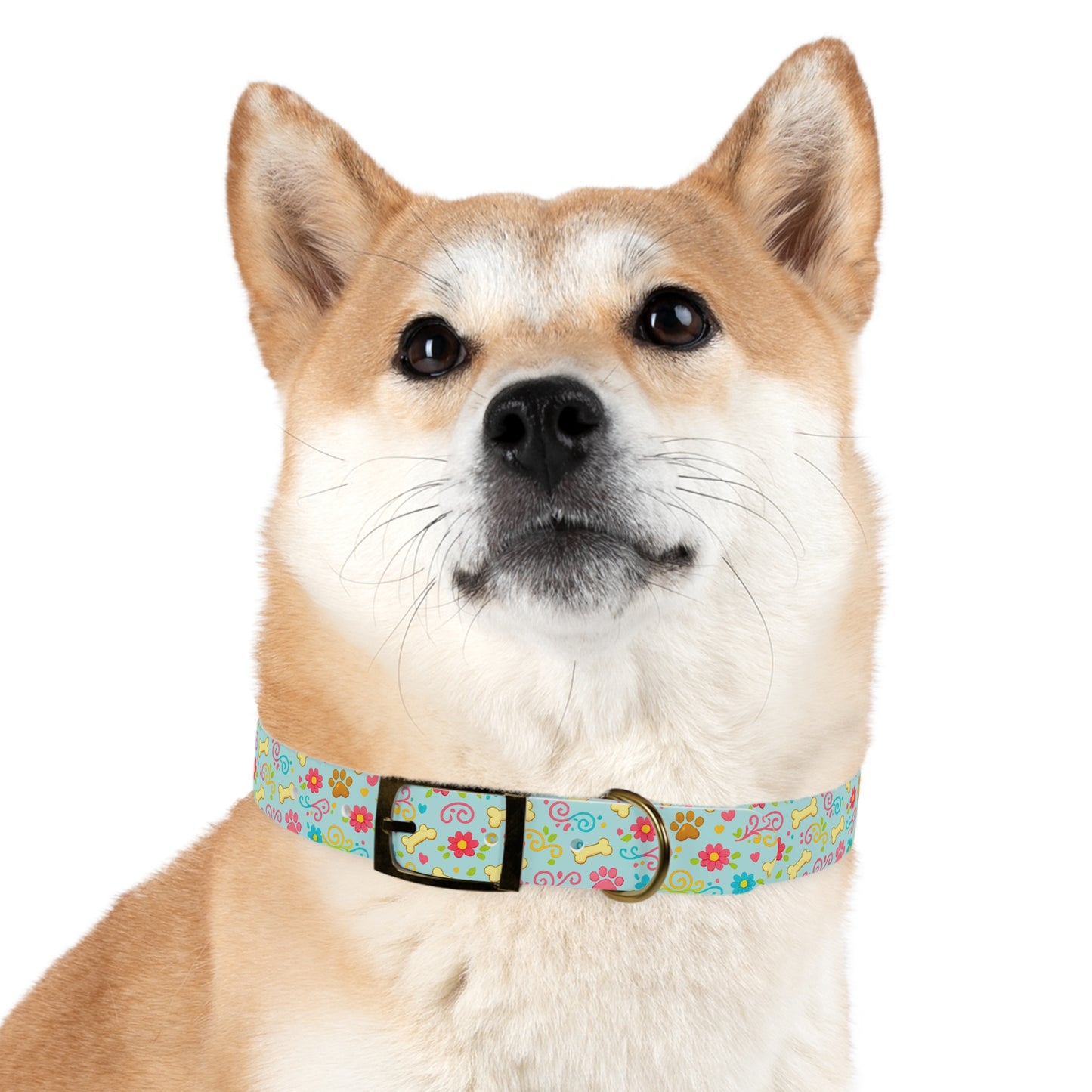 Dog Collar - Aqua Pastel Floral & Bones
