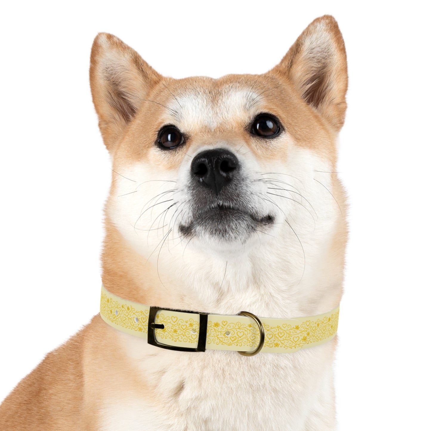 Dog Collar - Love is Gold