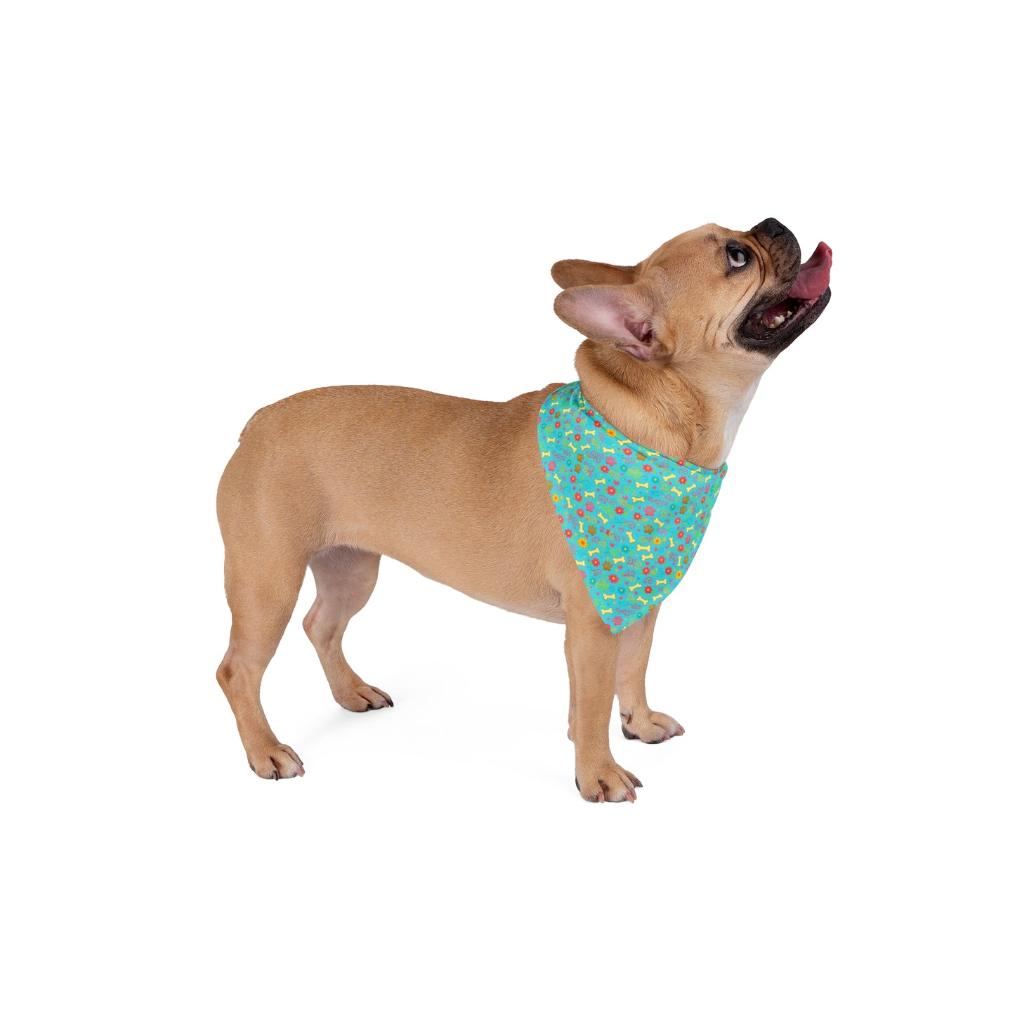 Dog Bandana - Aquamarine Floral and Bones