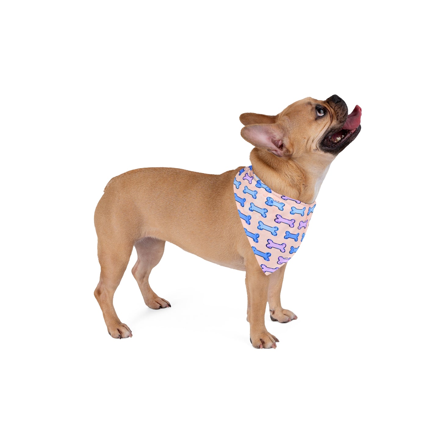 Dog Bandana - Pink and Blue Dogbones