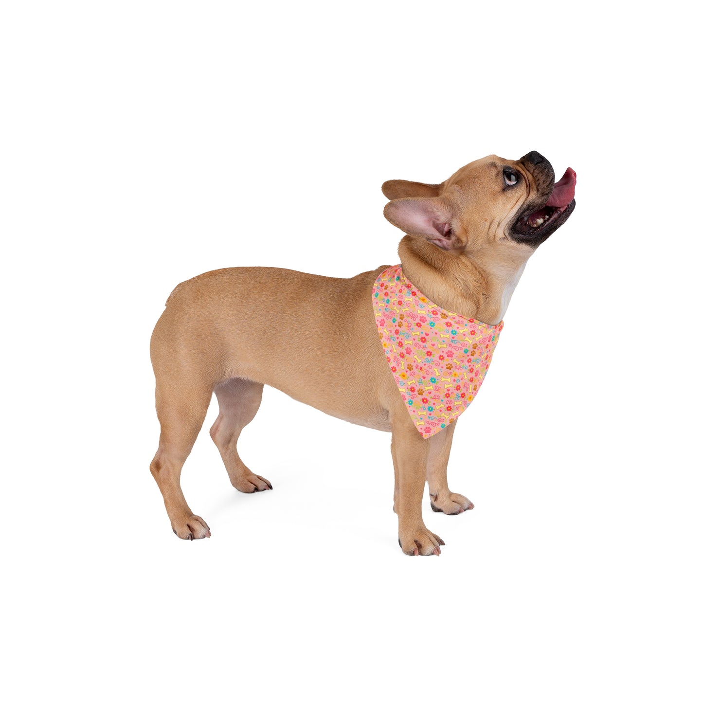 Dog Bandana - Peachy Floral and Bones