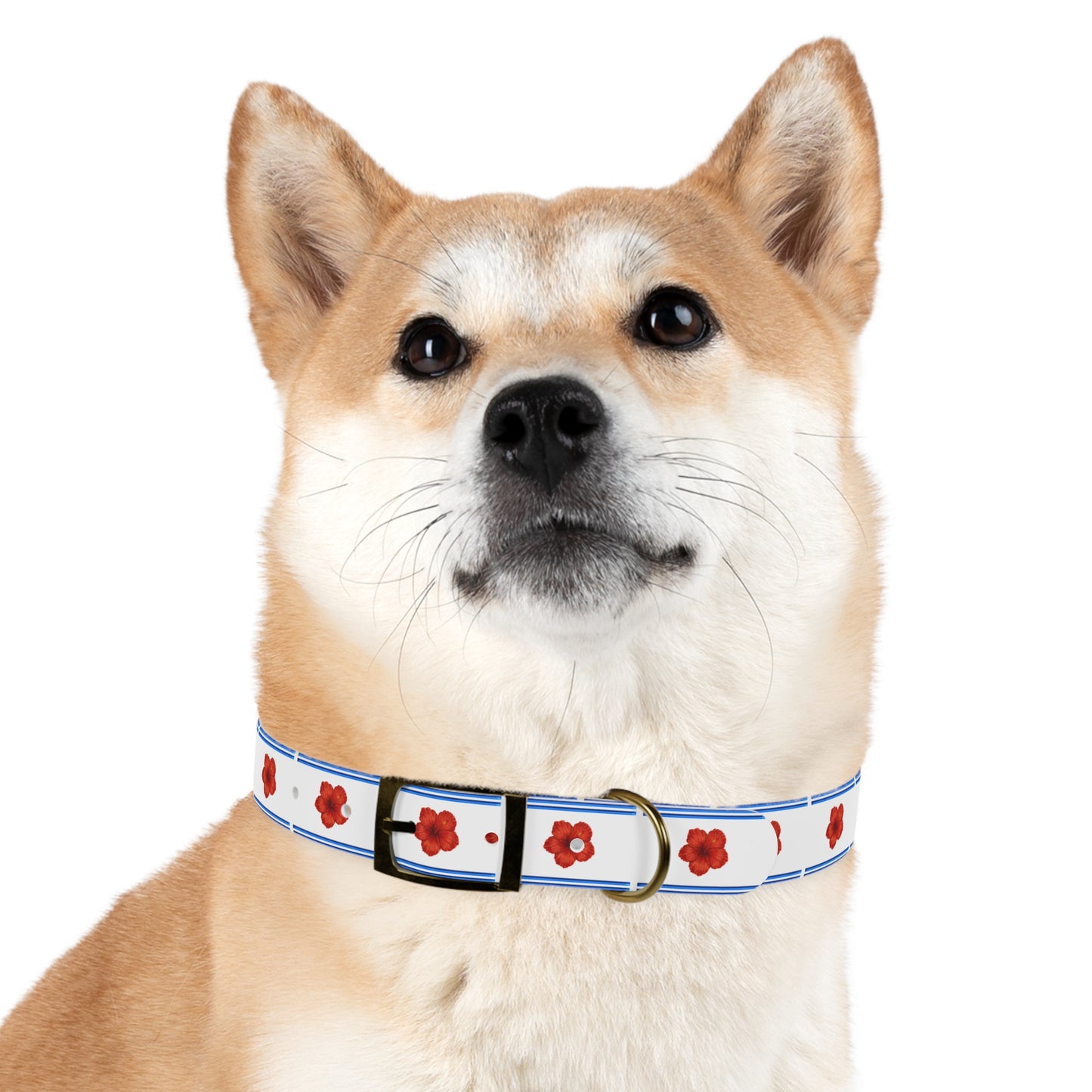 Dog Collar - Rose Wave