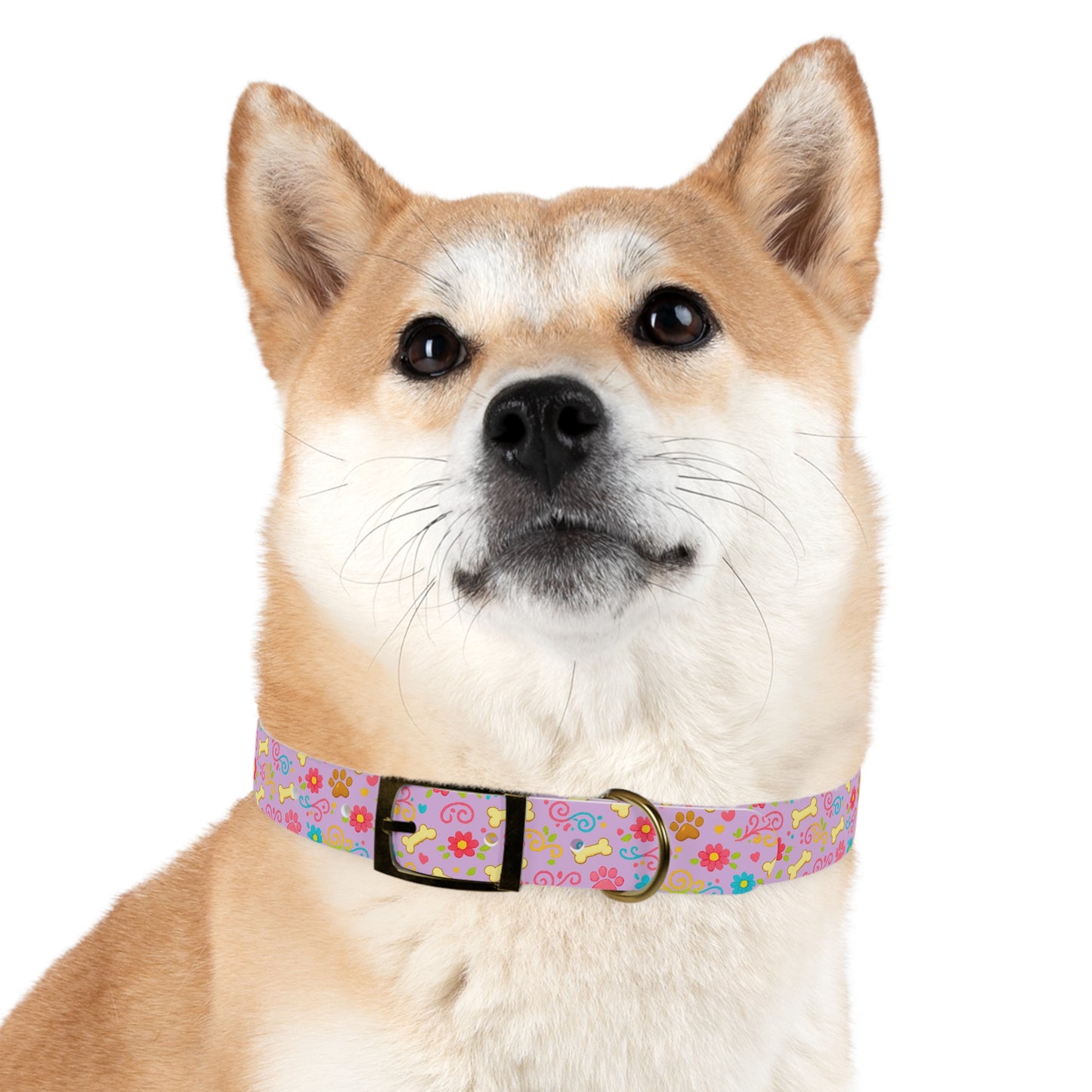 Dog Collar - Pink Pastel Floral & Bones