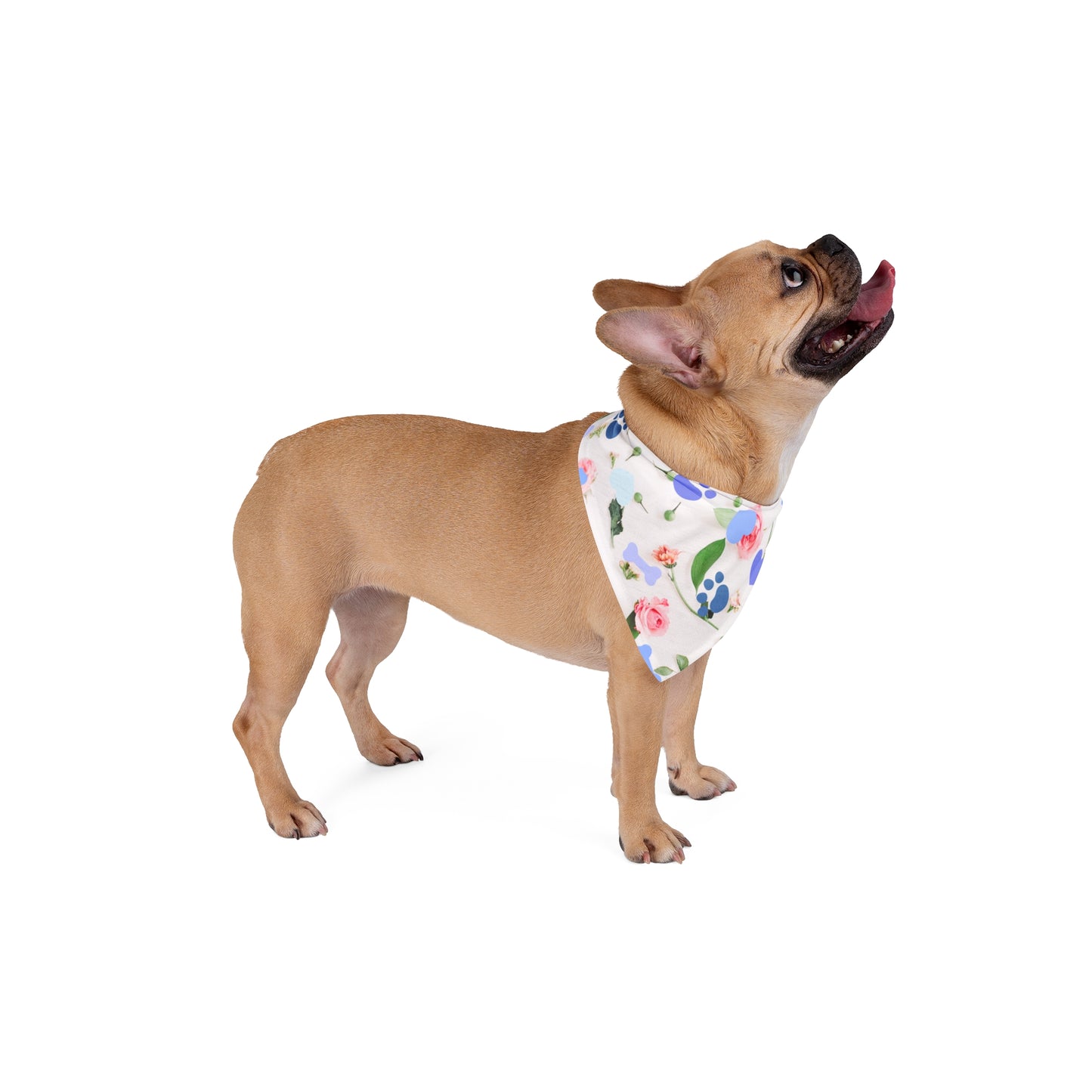 Dog Bandana - Hearts and Rose